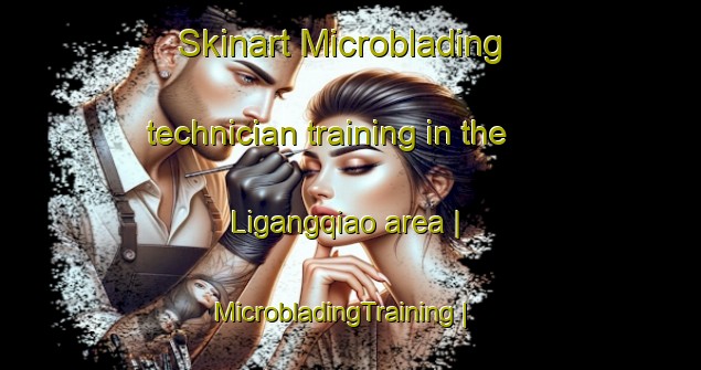 Skinart Microblading technician training in the Ligangqiao area | MicrobladingTraining | MicrobladingClasses | SkinartTraining-China